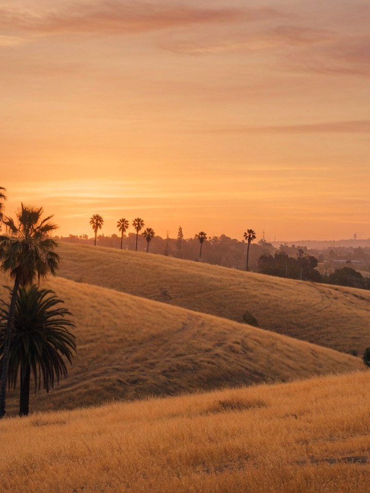 Anaheim area